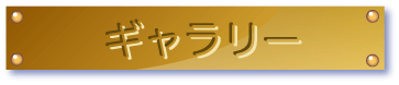 ギャラリー