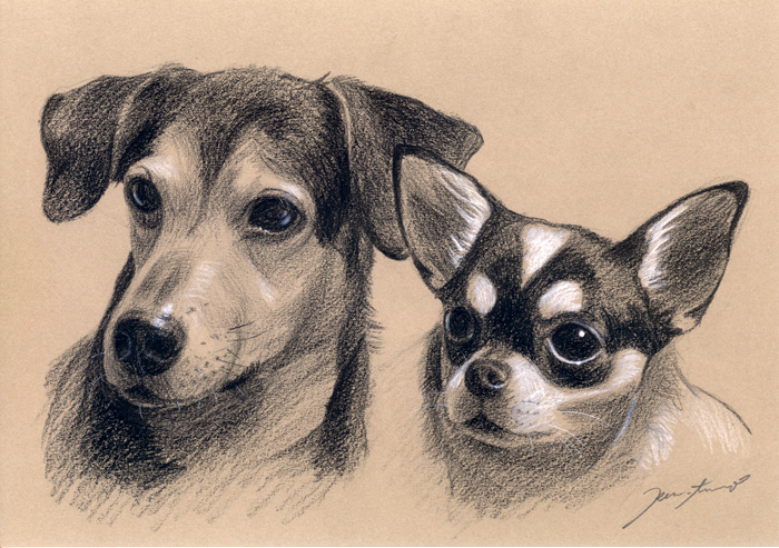 犬肖像画06