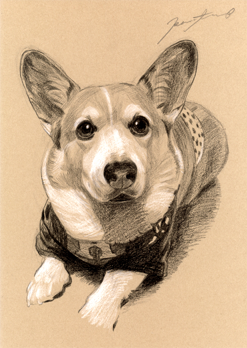 犬肖像画18