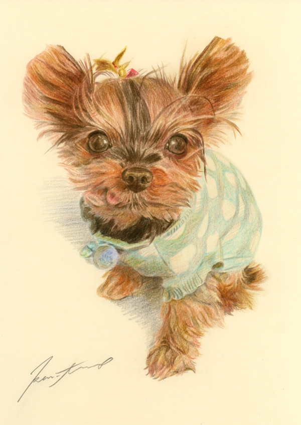 犬肖像画33