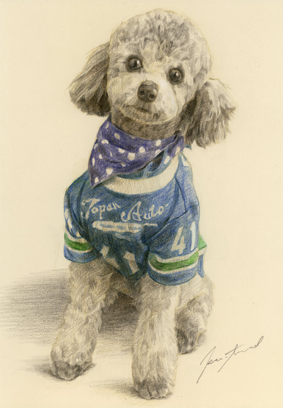 犬肖像画38