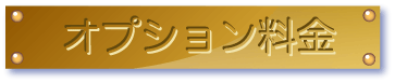 オプション料金